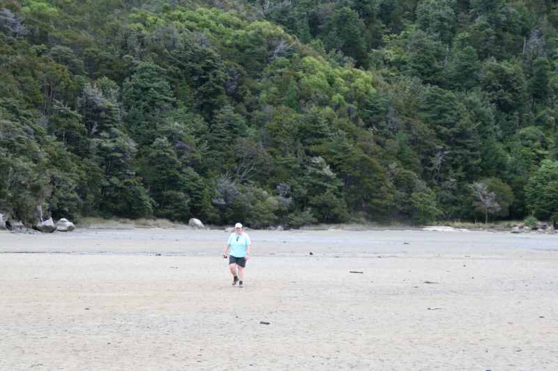 Nieuw-Zeeland 2011 - 1048